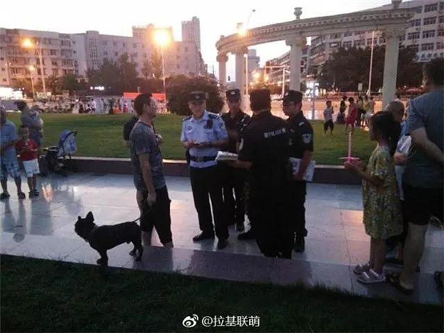 蒲江的警察蜀黍只用一招，就让养狗人“束手就擒”… - 14