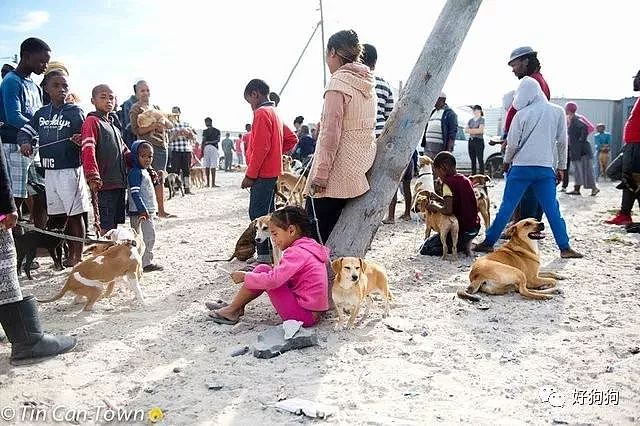 南非一女士把狗狗放在玩具车里，带着它们步行2小时来看医生！ - 3