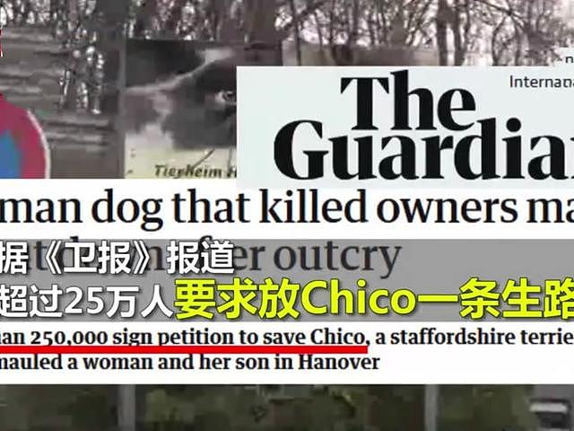 德国宠物狗咬伤家人并致其死亡，新闻一出却有25万人请愿别杀它！