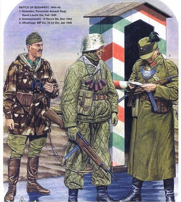 二战德日之外的纳粹轴心 强过意大利数倍 德国最可靠的盟友
