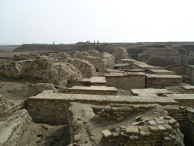 此人在一遗址上发掘出刻有文字的陶器，考古家进入古墓后惊呆