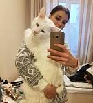 女子晒出自家布偶猫照片，却把一群网友看懵：这是小型老虎吧？