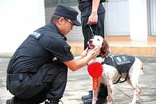 再见“酷熊”，你好“飞机”！佛山公安警犬基地举行警犬退役与新犬入列仪式