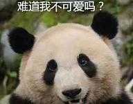 一位国外网友说：熊猫不过是坏脾气的大号浣熊，中国网友这样回应