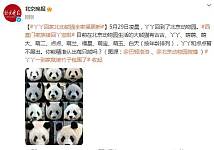 丫丫回家 北京动物园熊猫全家福更新
