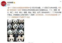 丫丫回家，北京动物园熊猫全家福更新