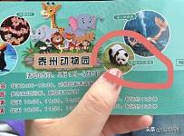 两只松狮犬被染色宣传为“熊猫犬”，泰州动物园：纯天然染发剂
