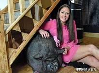 美国女孩迷你猪当宠物，不料养成了大肥猪