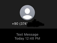 变为国际短信，美国 iPhone 用户遭遇 BUG：手机号码前添加“+”字符