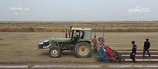 新疆巴州 320 万亩棉花播种有序展开 机械化播种率达到 100%